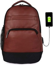 Fur Jaden Waterproof Bag with USB Charging Port
