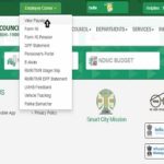 NDMC Payslip