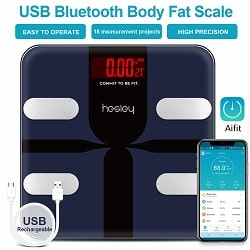 HESLEY Smart Bluetooth Body Fat Scale