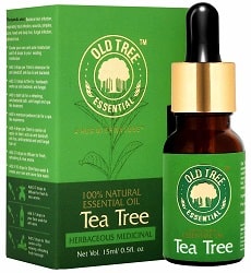 Old Tree Tea Tree Essential Oil