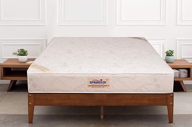 Springtek Ortho Pocket Queen Bed Pocket Spring Mattress