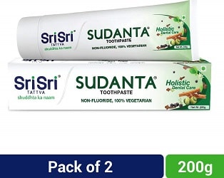 Sri Sri Tattva Sudanta Toothpaste