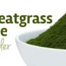 Wheatgrass Juice powder india