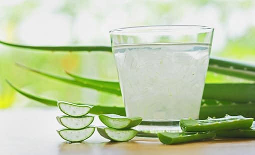 aloe vera juice india