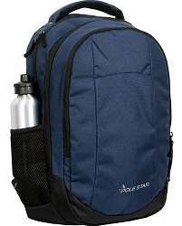POLESTARNoble Blue 32 Ltrs Backpack