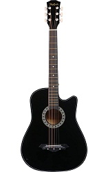 Photron Acoustic Guitar