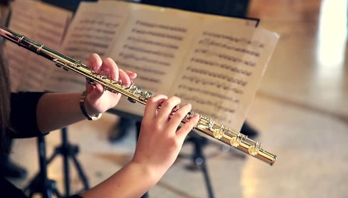 10 Best Flutes Under 500 Rs. In India 2023