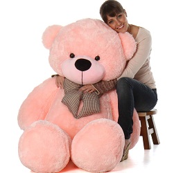 Hug n Feel Soft Toys Extra Large Teddy Bear