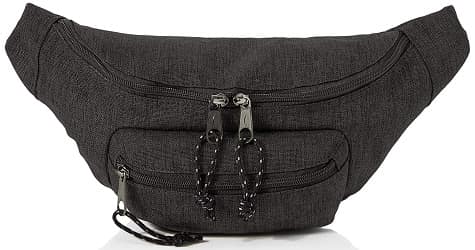 AmazonBasics Waist Pouch Bag with adjustable strap