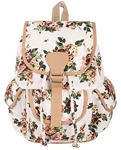 Crafts My Dream Women Backpack for college girls