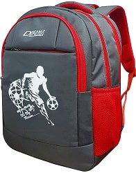 DREAMZ STYLISH 28 Ltrs Grey + Red Casual Backpack