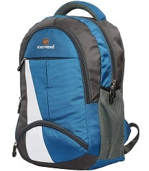 PETER INDIA Polyester 36 L Waterproof Backpack