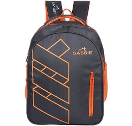 Sassie Grey Polyester 41 Ltr School Backpack