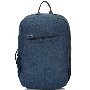 Wesley Milestone Casual laptop backpack bag