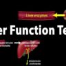 liver function test