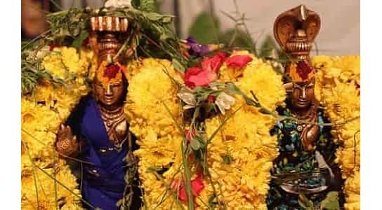 Srikalahasti temple rahu ketu pooja