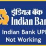 Indian Bank UPI Is Not Working