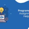 Programming Assignment Help