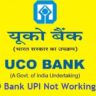 UCO Bank UPI Not Working
