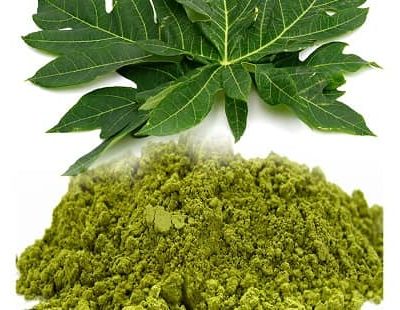 Papaya Leaf Supplement