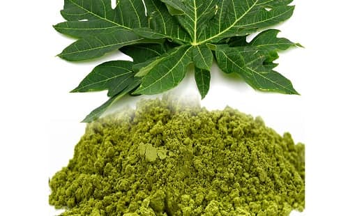 Papaya Leaf Supplement