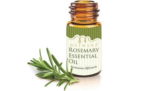 Rosemary Essential Oil