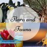 Flora And Fauna