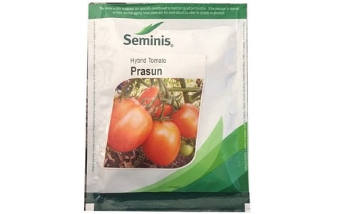 Hybrid Tomato Seeds