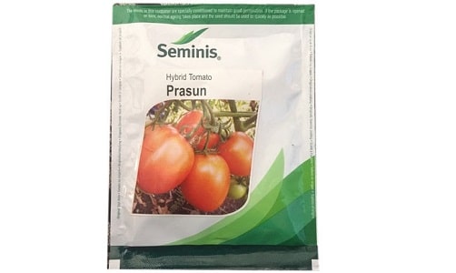 Hybrid Tomato Seeds