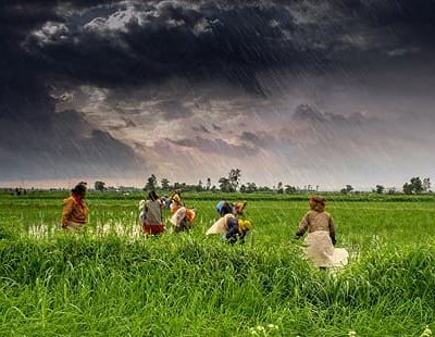 Monsoon climate india