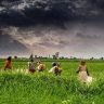 Monsoon climate india