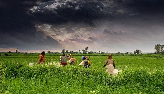 Monsoon climate india