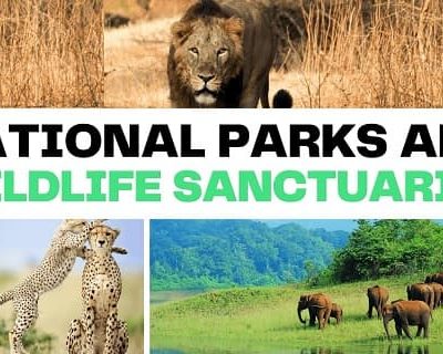National park and Wildlife sanctuary