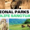 National park and Wildlife sanctuary