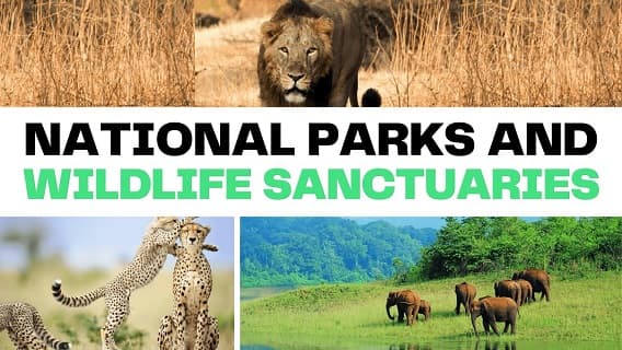 National park and Wildlife sanctuary