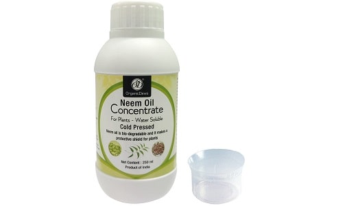 Neem Oil for Plants