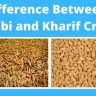 Rabi And Kharif Crop