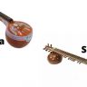 Sitar And Veena