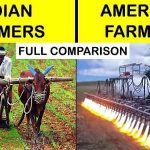 Difference Between Farming In India And USA