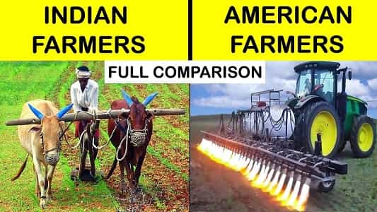 Difference Between Farming In India And USA
