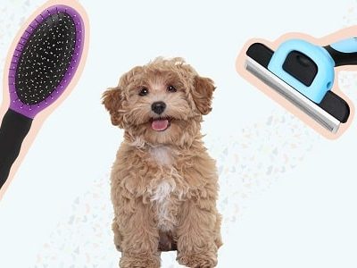 Dog Grooaming Brushes