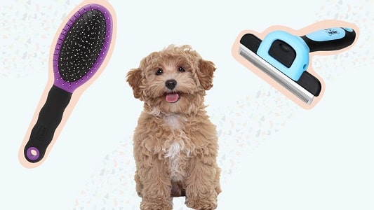 Dog Grooaming Brushes