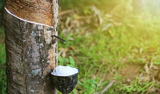 Rubber Producing India