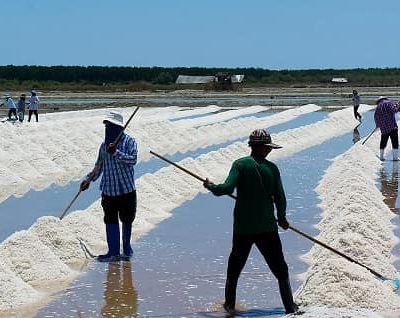 salt production India
