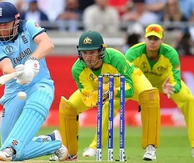 cricket
