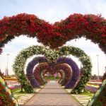 Dubai Miracle Garden