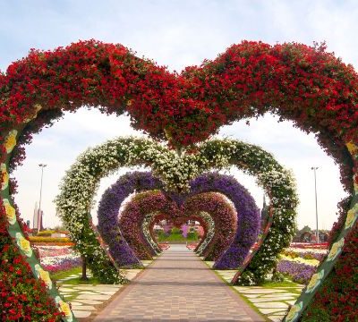 Dubai Miracle Garden