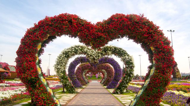 Dubai Miracle Garden