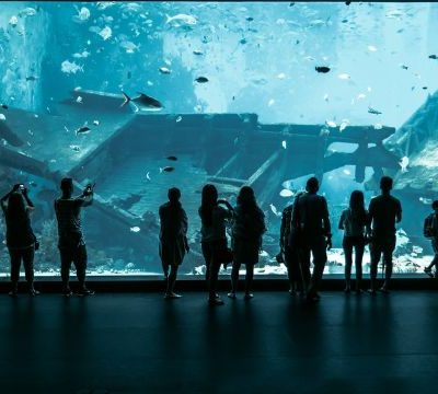 SEA Aquarium Singapore