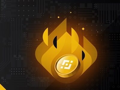 BNB Burn